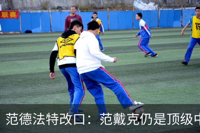 范德法特改口：范戴克仍是顶级中卫，他还是我们荷兰队的核心